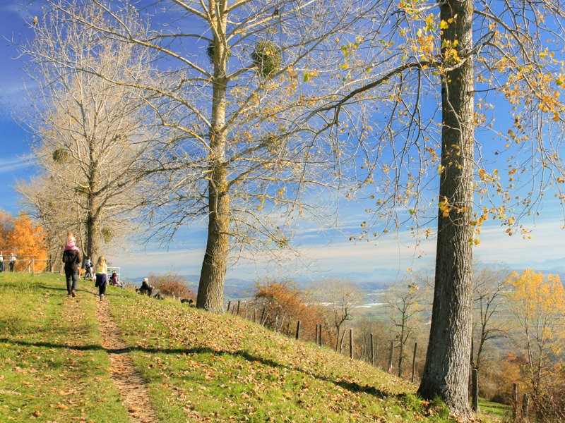 Auf dem Mont Vully sieht man an klaren Herbsttagen weit. Bilder: Camille Tissot