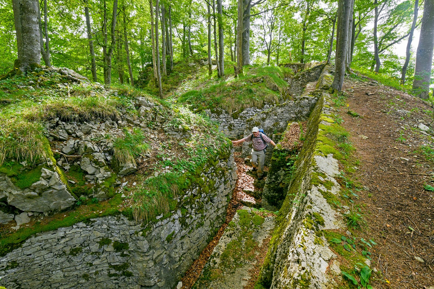 In den Schützengräben am Spitzenflüeli kann man die Grösse der Fortifikation Hauenstein erahnen. Bilder: Daniel Fuchs