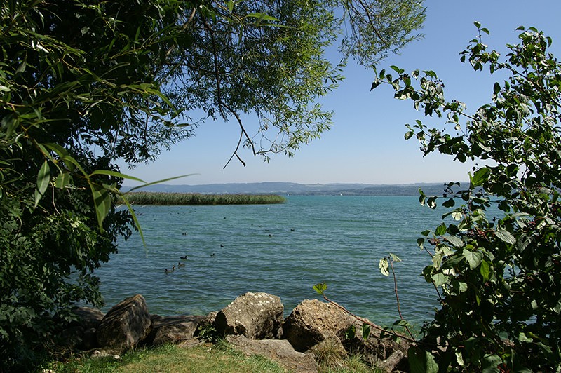 Blick auf den Neuenburgersee.