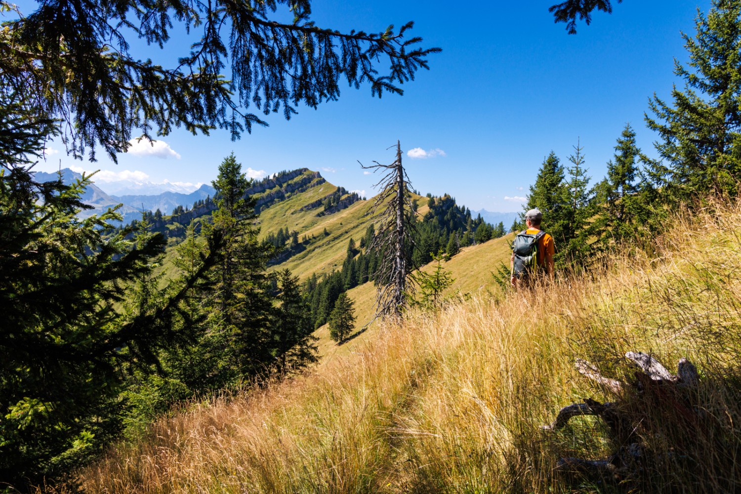 Der Weg führt immer dem Grat entlang bis zum höchsten Punkt in der Ferne. Bild: Severin Nowacki