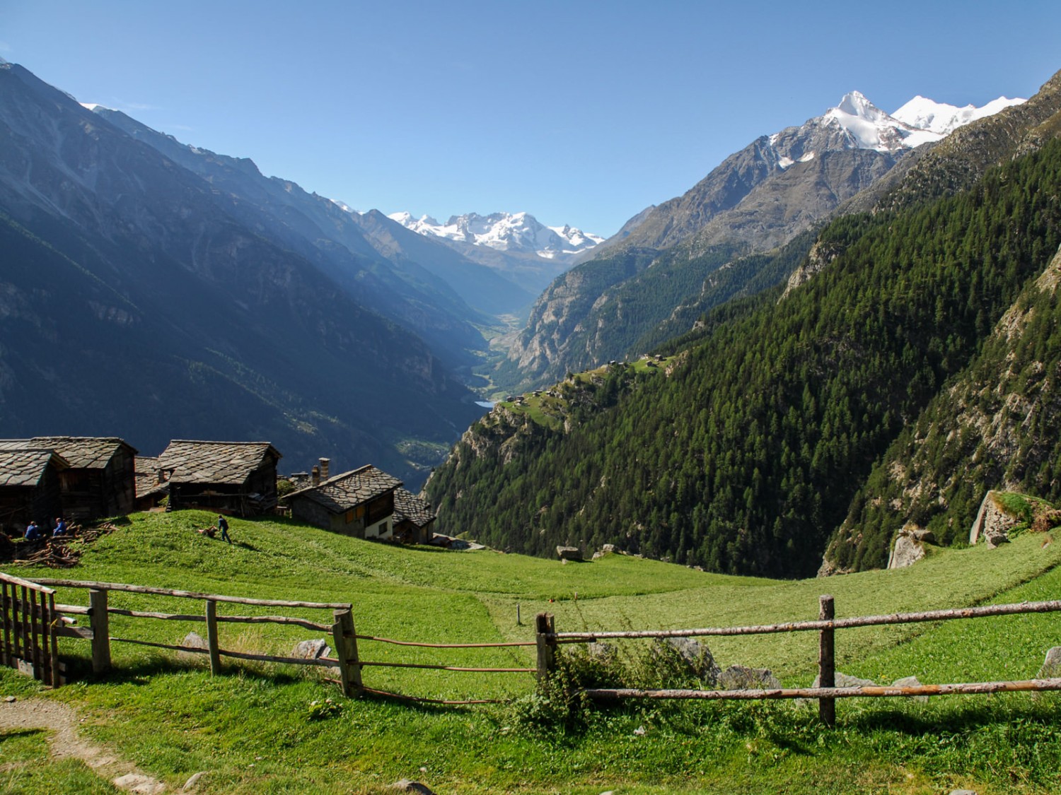 Herrlicher Blick von der Alp Jungen in Richtung Zermatt. Rechts oben zeigen sich Brunegghorn und Weisshorn. Bild: Fredy Joss