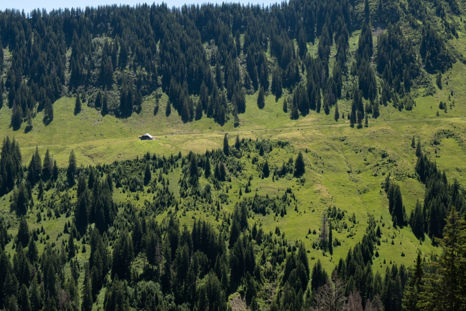 Im Entlebuch gibt es viel Wasser. Der Untergrund im Entlebuch ist moorig. Bild: Markus Ruff