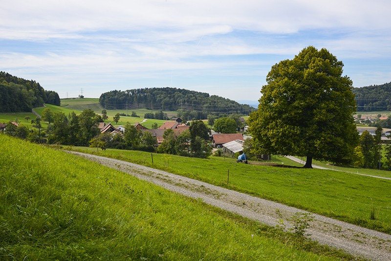 Sanftes Wanderland bei Hofstetten oberhalb von Elgg. Bilder: Heinz Staffelbach