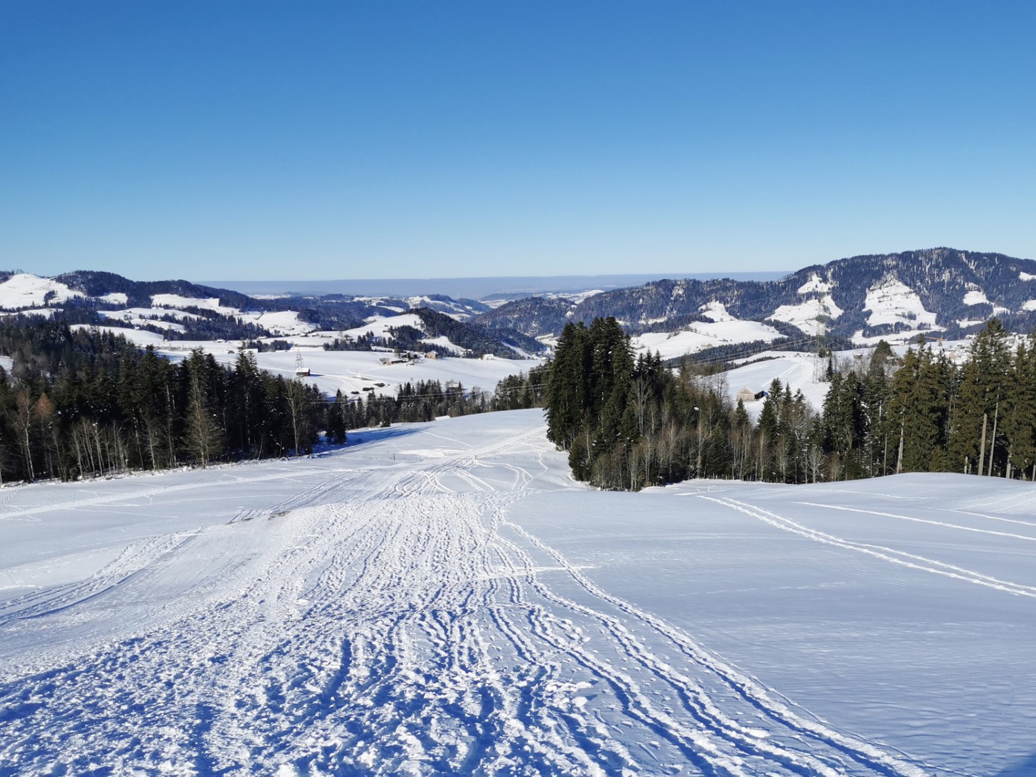 Im Abstieg vom Skihus Hemberg zurück zum Dorf. Bild: Andreas Staeger