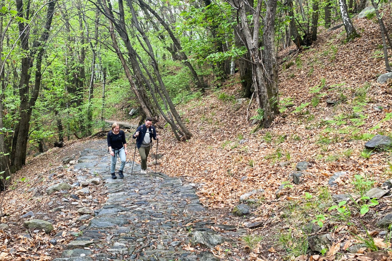 Typisch Tessin: wandern auf alten, mit Steinen gepflasterten Wegen durch den Kastanienwald. Bild: Loïc von Matt