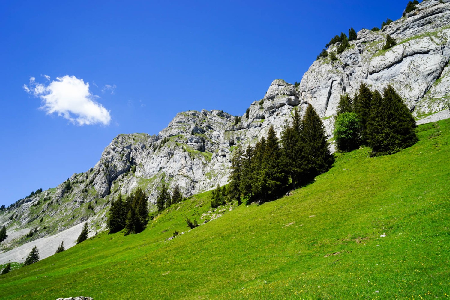 Die Grönflue über dem Wanderweg. Bild: Fredy Joss