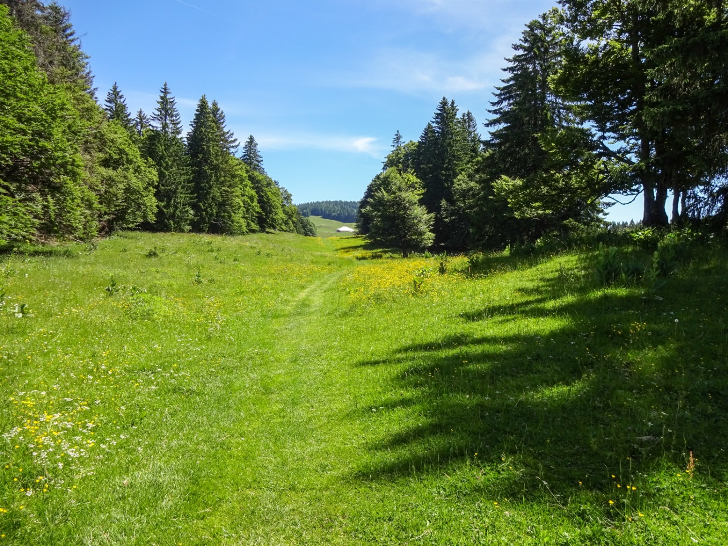Gipfelabenteuer im Waadtländer Jura
