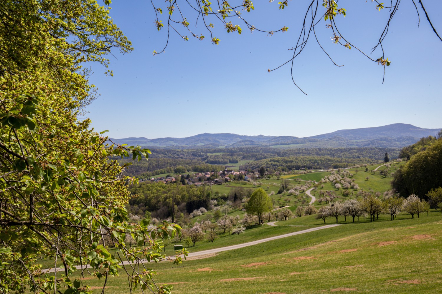 Blick auf die Landschaft um die Dörfer Büren SO, St. Pantaleon und Nuglar. Bild: Daniel Fleuti