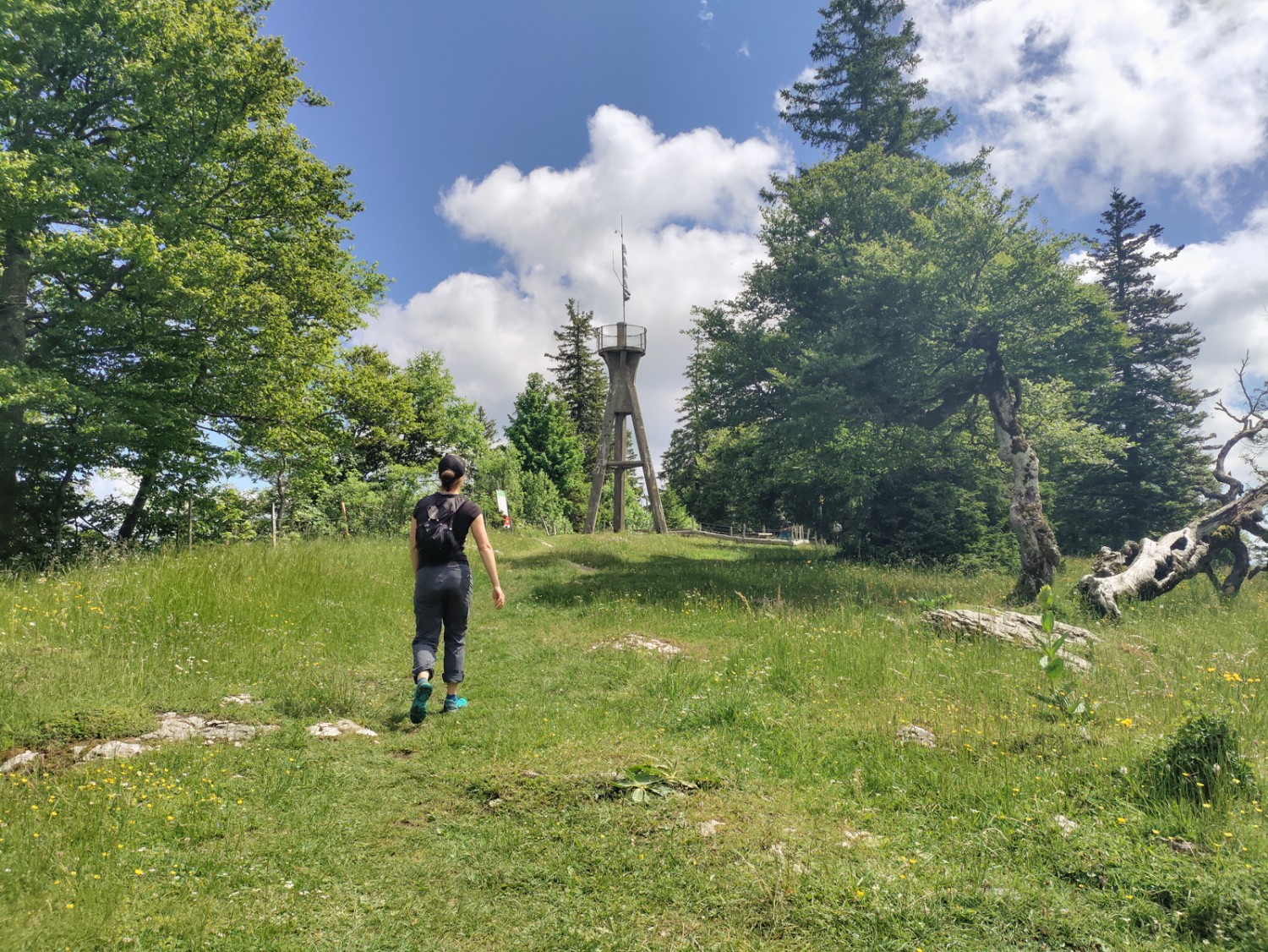 Peu avant le sommet: une tour panoramique se distingue sur le Mont Raimeux. Photo: Michael Dubach