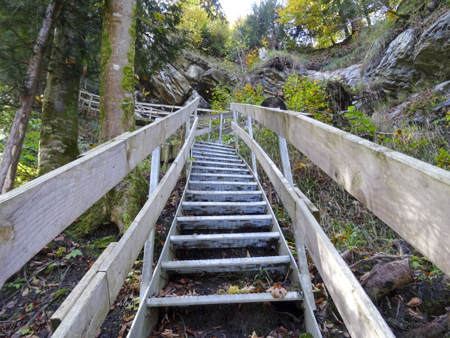 Treppen und Stege führen sicher durch tiefe Tobel in Appenzell Ausserrhoden. Bild: Sabine Joss
