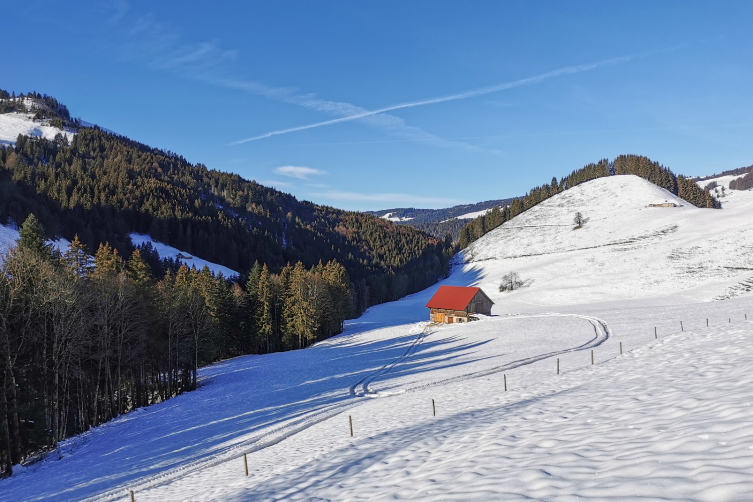 Verschneites Weideland bei La Scie. Bild: Andreas Staeger