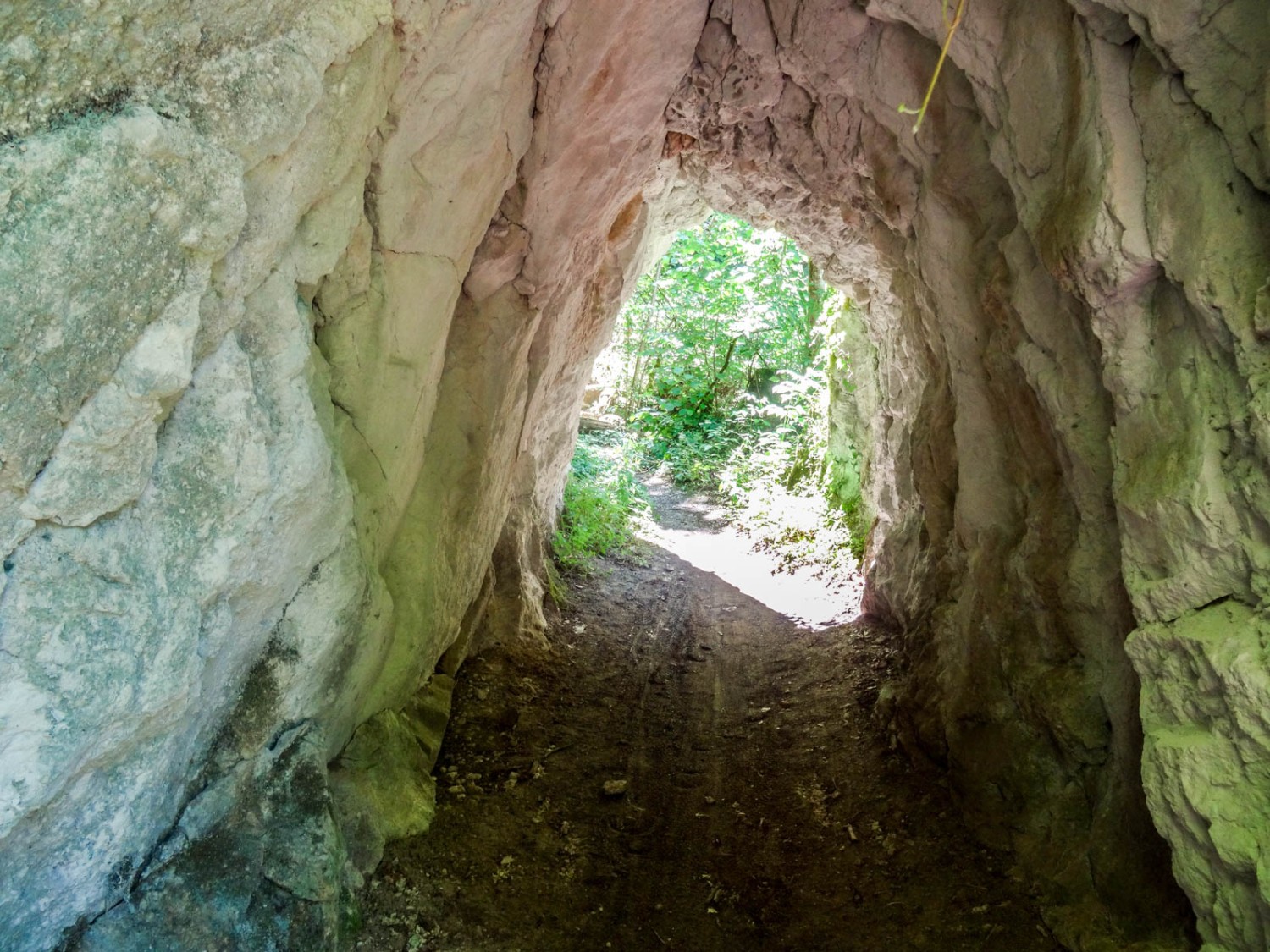 Am Weg entlang der Sorne gibt es ein Tunnel. Bild: Vera In-Albon