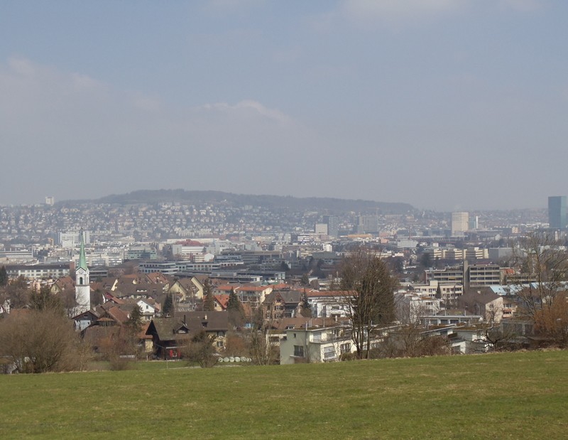 Ausblick vom Waldrand über Albisrieden.