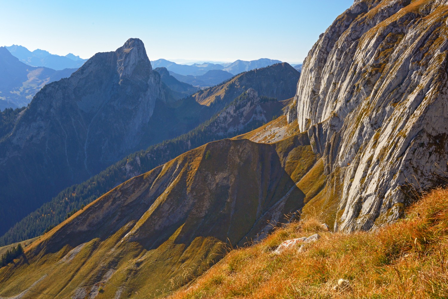 Der Blick zurück auf die elegant geschwungenen Felsen und die Dent d’Oche. Bild: natur-welten.ch