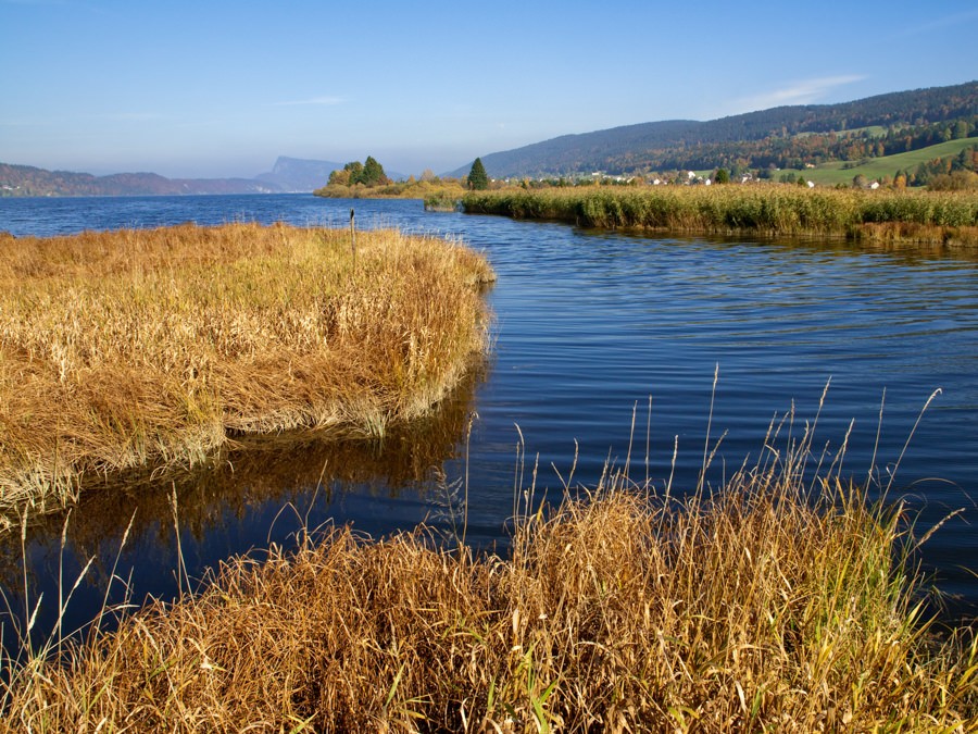 Blick über den Lac de Joux bis zur Dent de Vaulion zuhinterst am See.