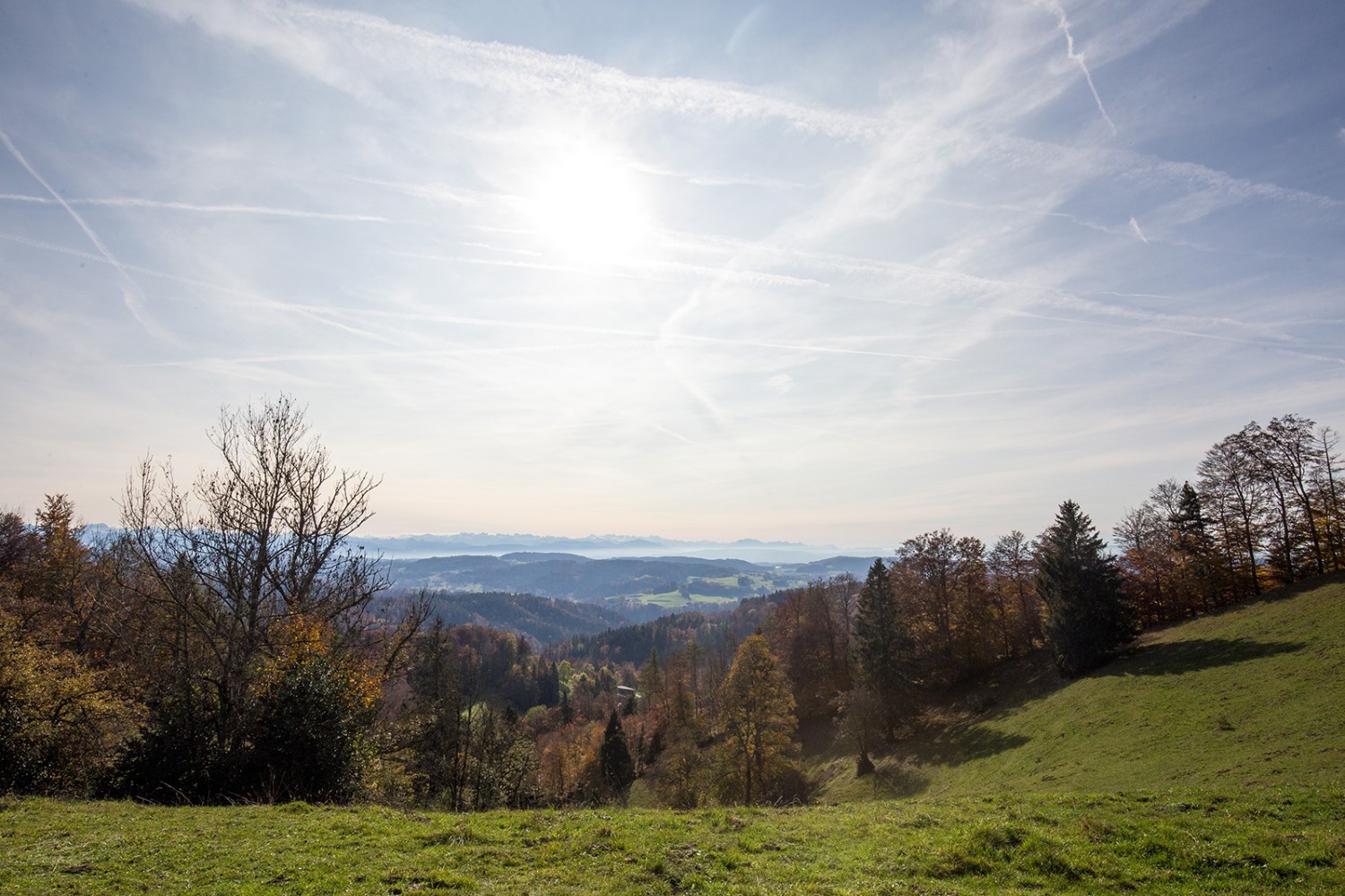 Weitblick auf dem Burghügel Schauenberg Richtung Tösstal und Zentralschweiz.