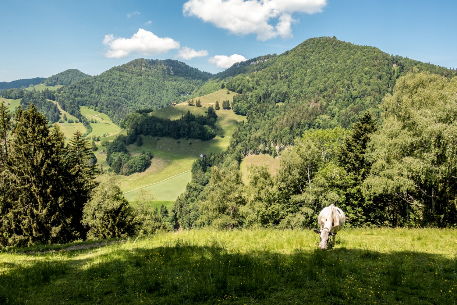 Im Aufstieg Richtung Oberchamm mit Blick zu Schwarzeberg (links) und Höchhand. Bild: Fredy Joss