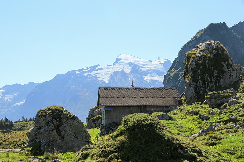 Die Wanderung führt dem Fuss des Widderstocks entlang zur Alp Lutersee. Im Hintergrund ist der Titlis zu sehen. Bilder: Elsbeth Flüeler