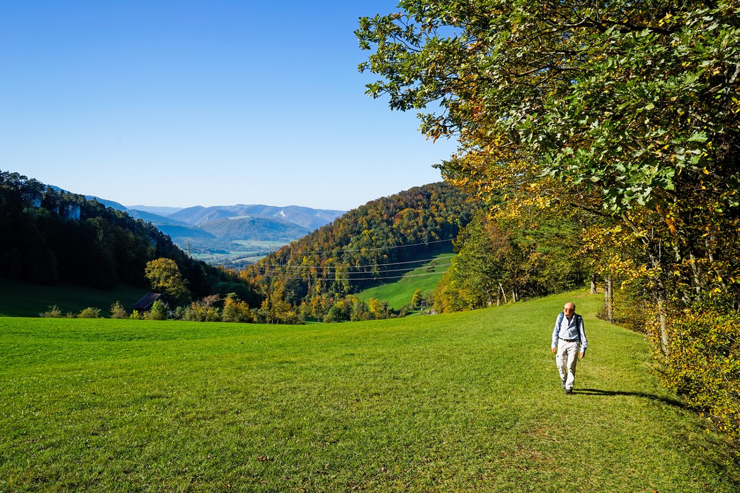 Il n’y a presque aucun chemin lors de la montée vers la crête du Stierenberg. 
Photos : Fredy Joss
