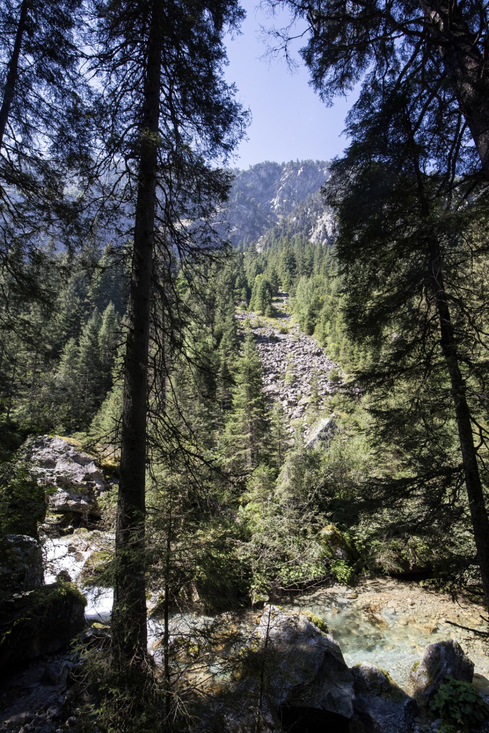 Treuer Begleiter der Wandernden ist der Fellibach, der sich mal sanft fliessend, mal wild schäumend zeigt. Bild: Daniel Fleuti