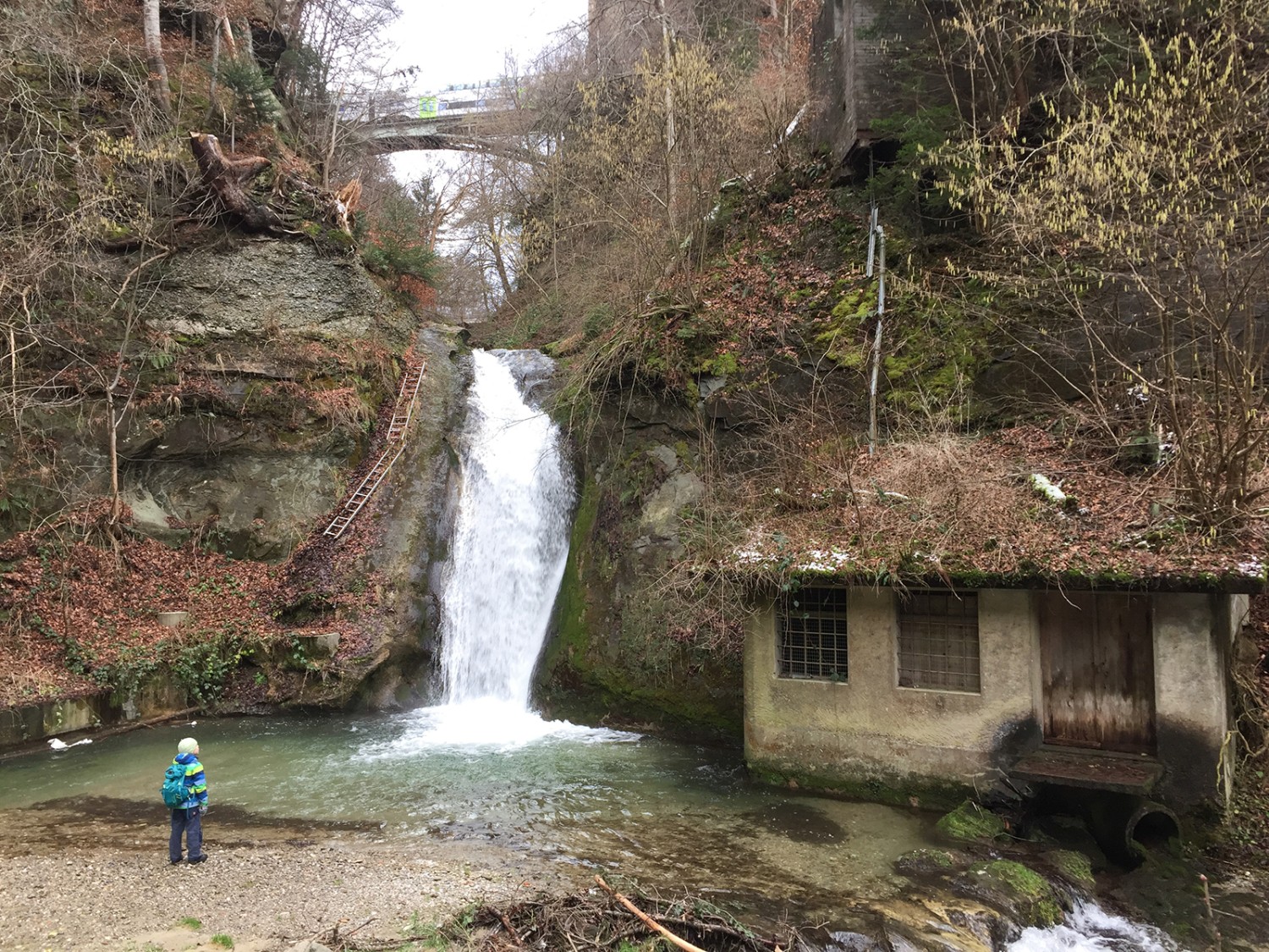 Bei Niederscherli überquert der Zug den Scherlibach.