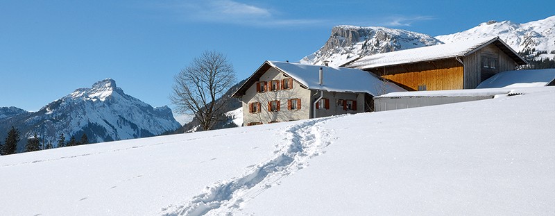 Der Bauernhof Salwideli liegt wunderschön auf einem sonnigen Rücken und bietet Zimmer im Sommer und Winter an.