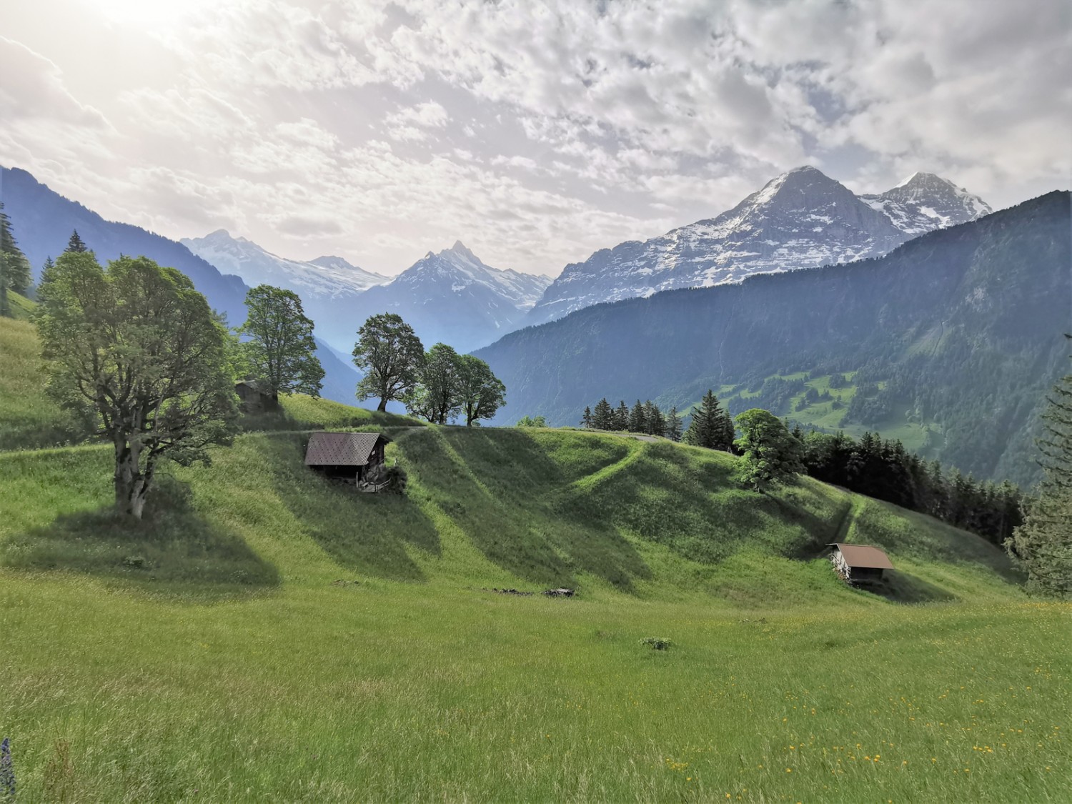 Von Sengg aus zeigen sich das Schreckhorn, der Mittellegigrat und die Eiger-Nordwand eindrücklich. Bild: Andreas Staeger