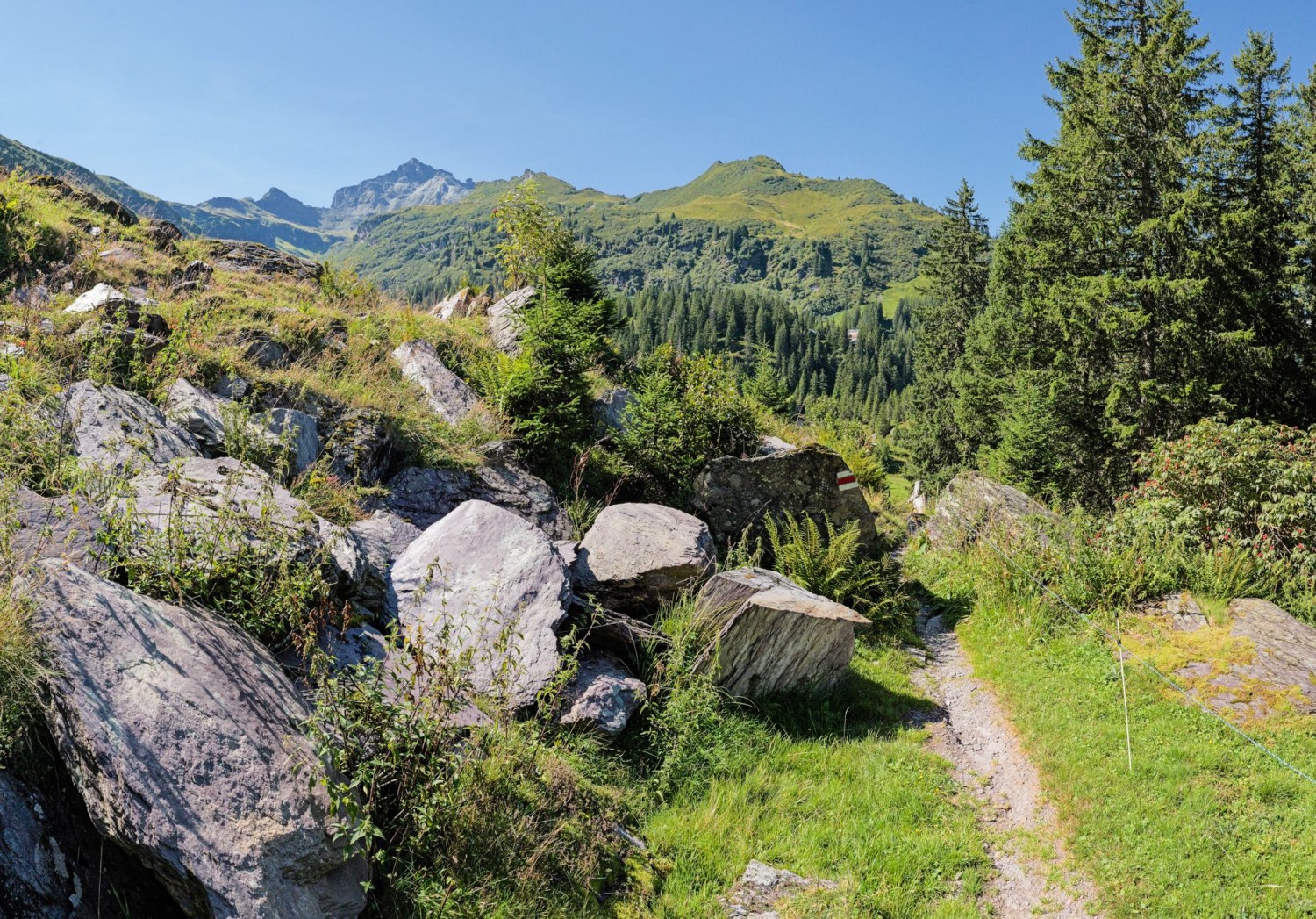 Alpine Rundwanderung im Herzen des Glarnerlandes
