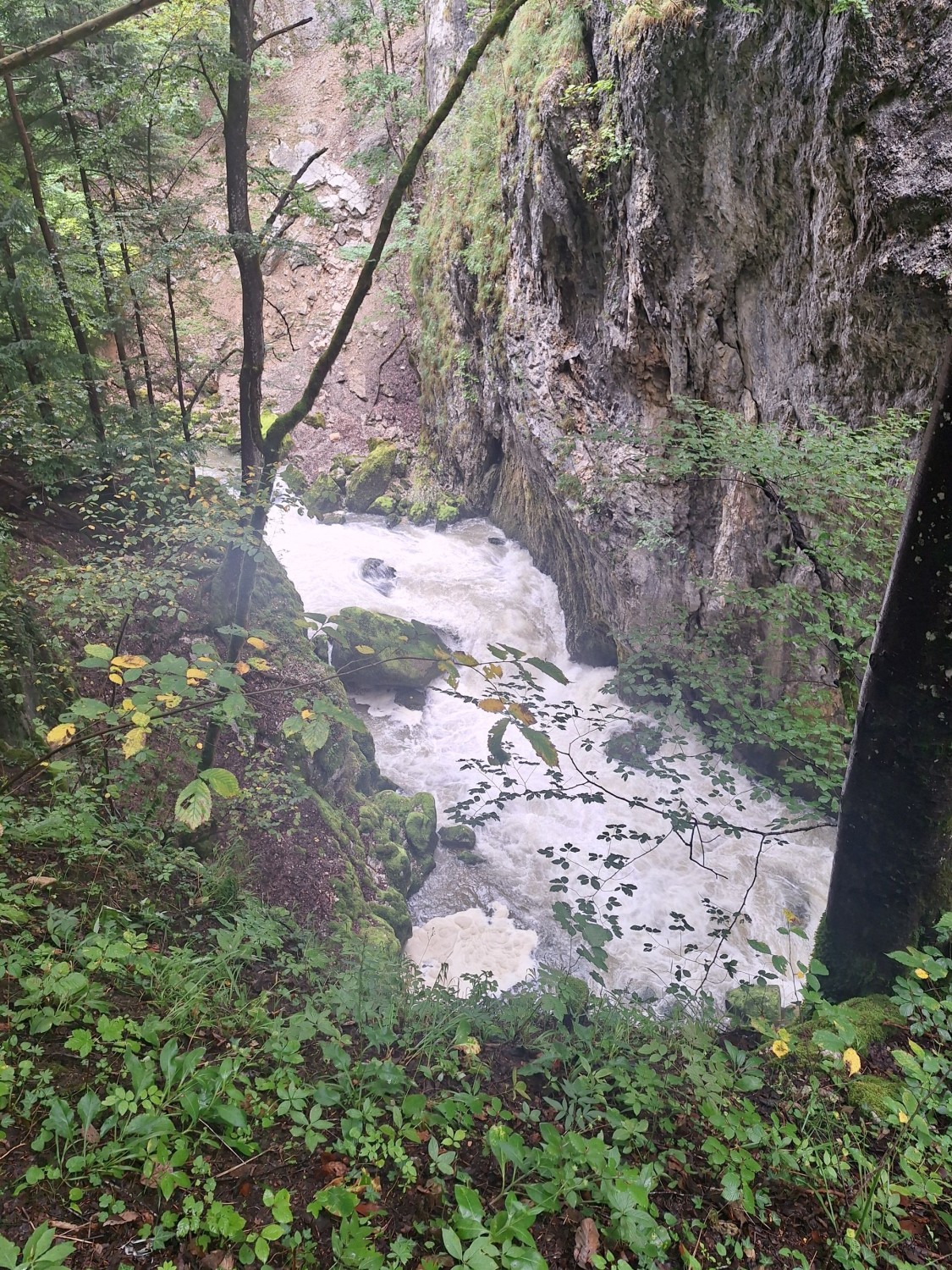 Foto: M. Achermann
