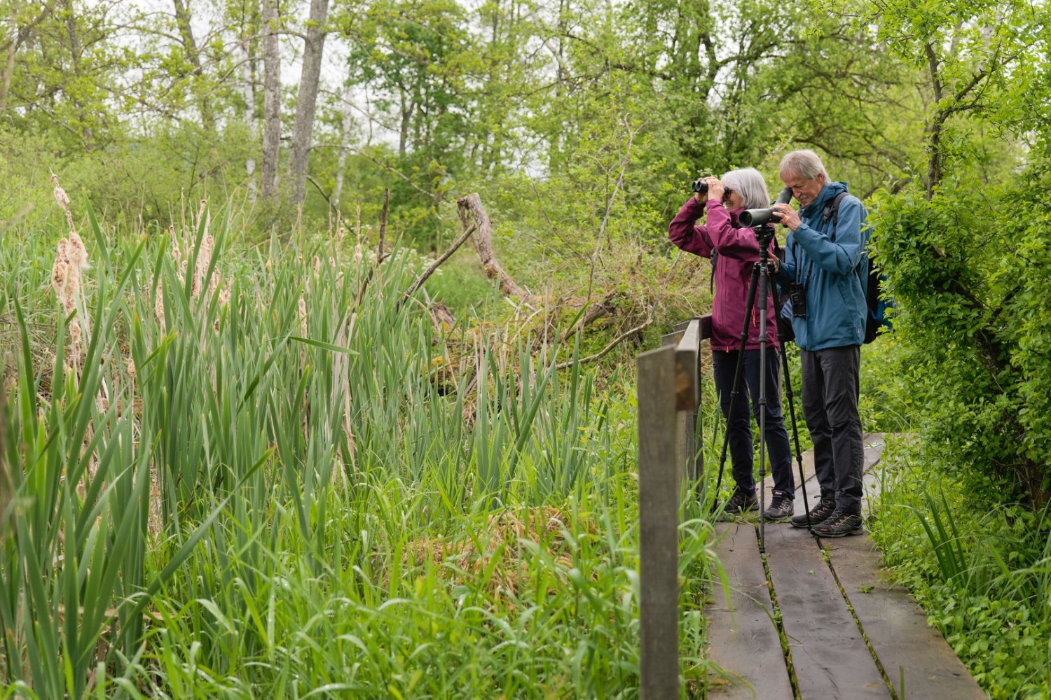 Plus de 170 espèces d’oiseaux ont déjà été observées, un nombre prometteur.