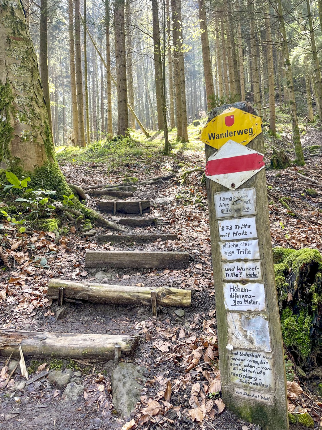 Ora bisogna lavorare di polpacci per superare i quasi 600 gradini dello Strickliweg. Foto: Michael Roschi