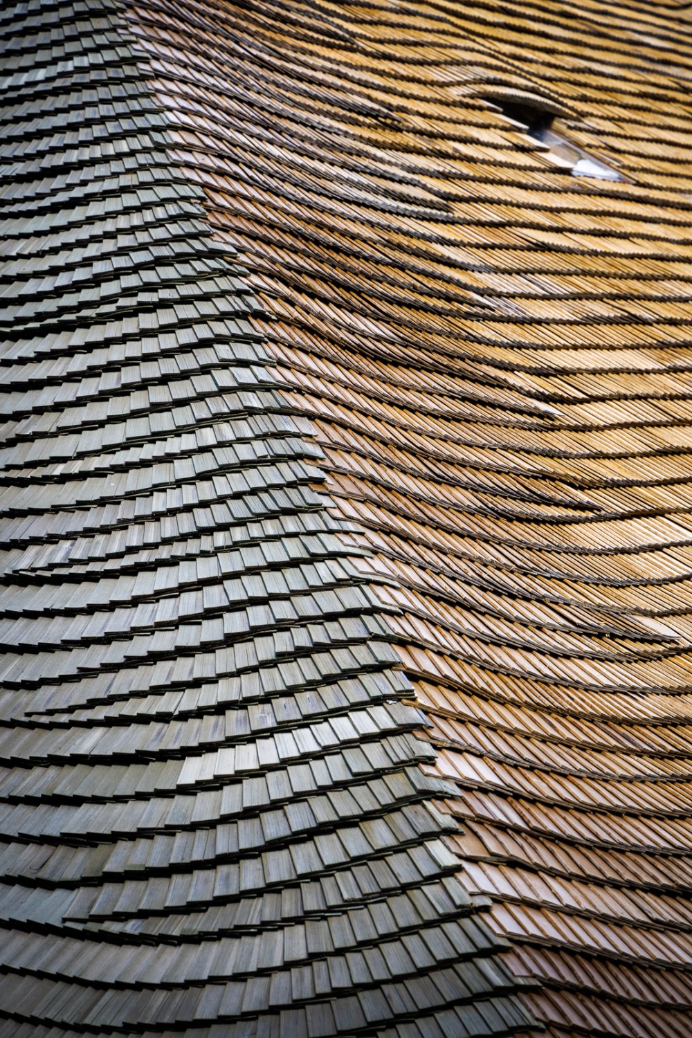 Schindeldächer &#8210; eine lebendige Tradition im Greyerzerland. Bild: Severin Nowacki
