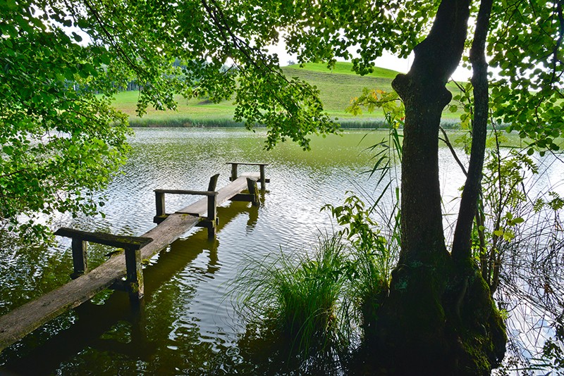 Idylle am Seeufer: Der zweite Teil der Wanderung führt an mehreren kleinen Seen entlang.