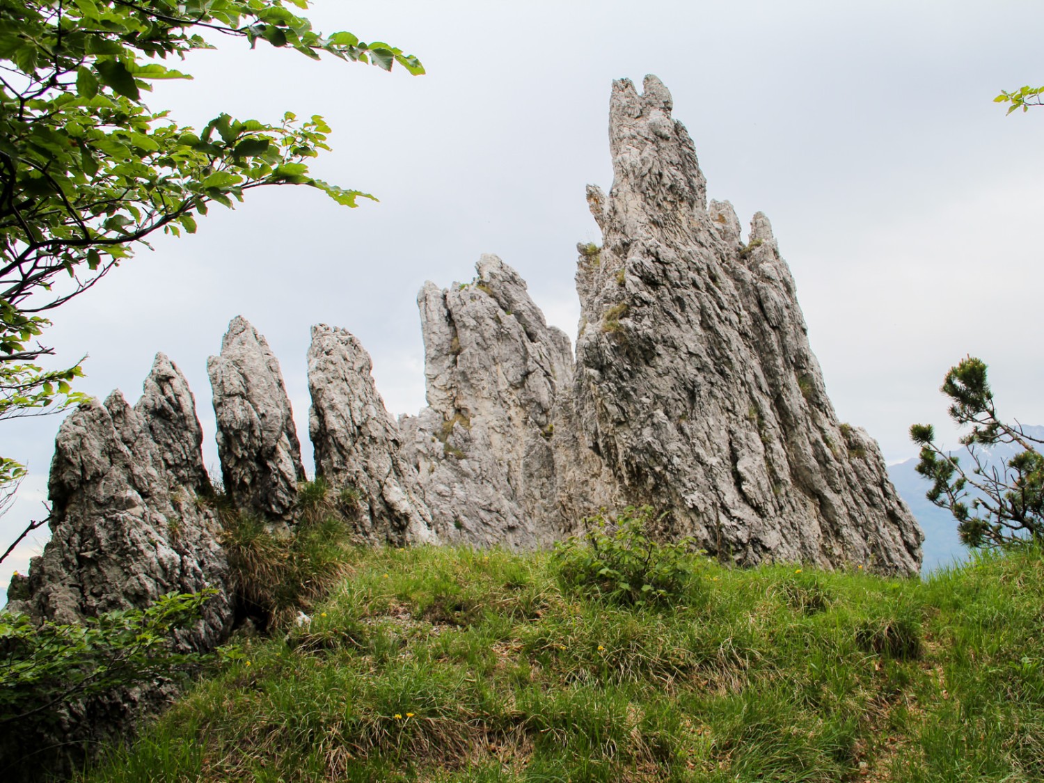 Schroffe Felszinnen – die Zähne der Alten. Foto: Andreas Sommer