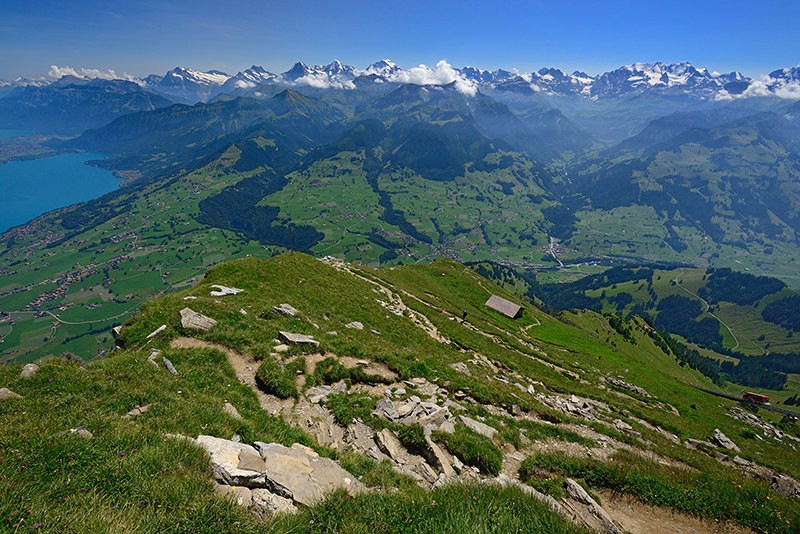 Der Weg schlängelt sich zum Gipfel empor. Dahinter zeigt sich das Berner Oberland von seiner besten Seite. Foto: www.natur-welten.ch