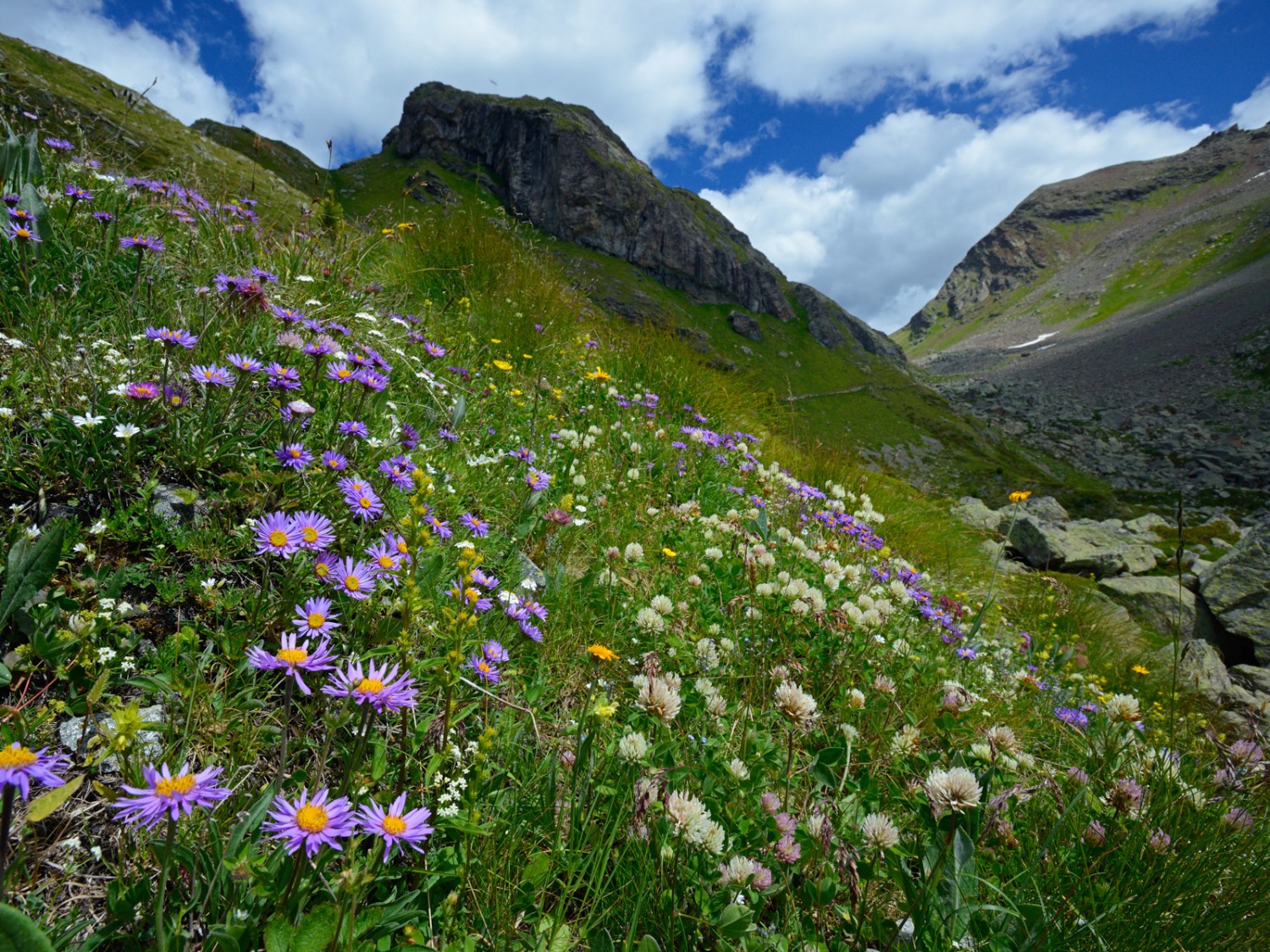 Dort geht’s hin. Der Blick zum Pass im Val Viola. Bild: natur-welten.ch