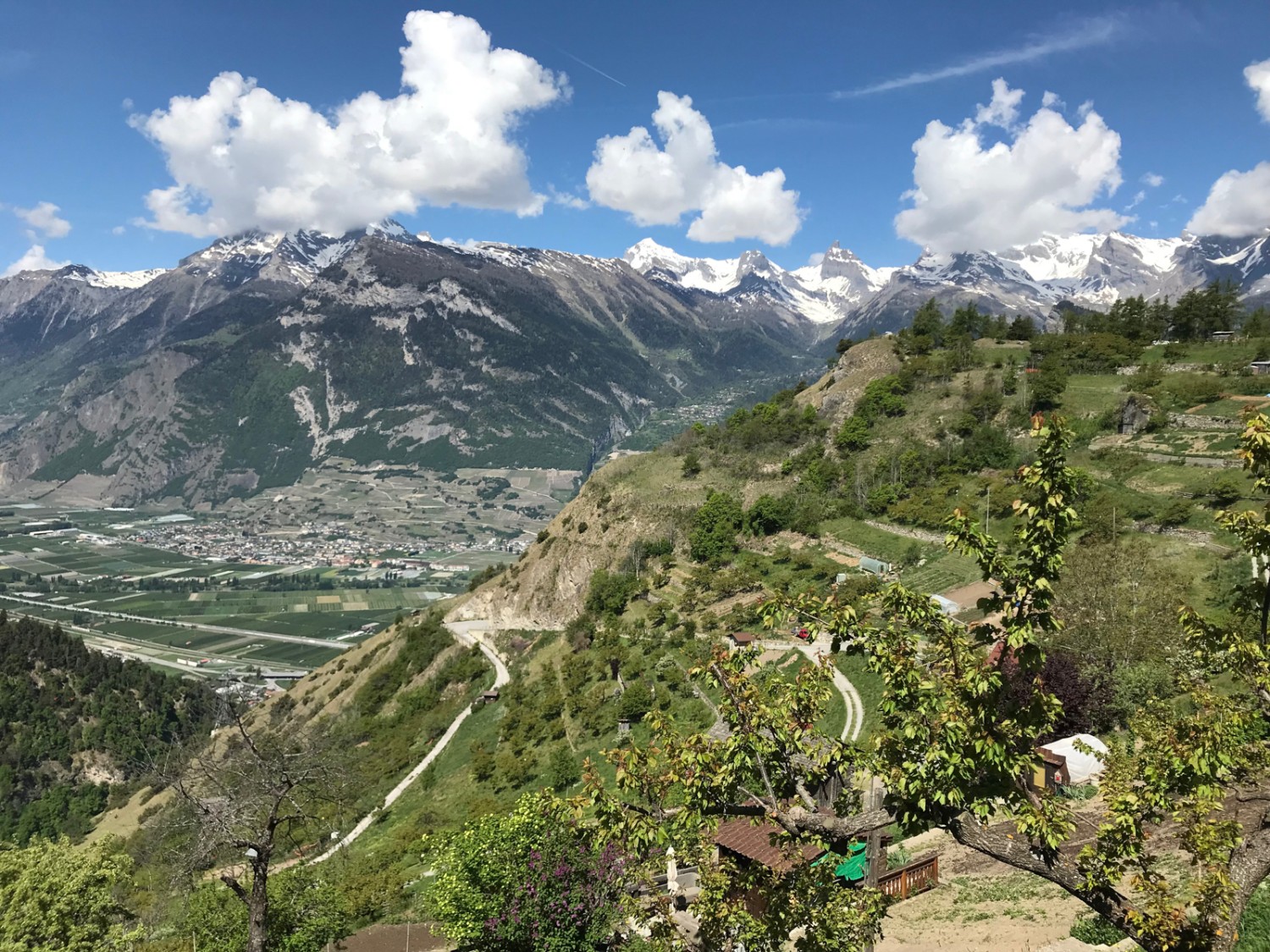 Vue sur la vallée du Rhône et sur Saillon. Photo: Ulrike Marx