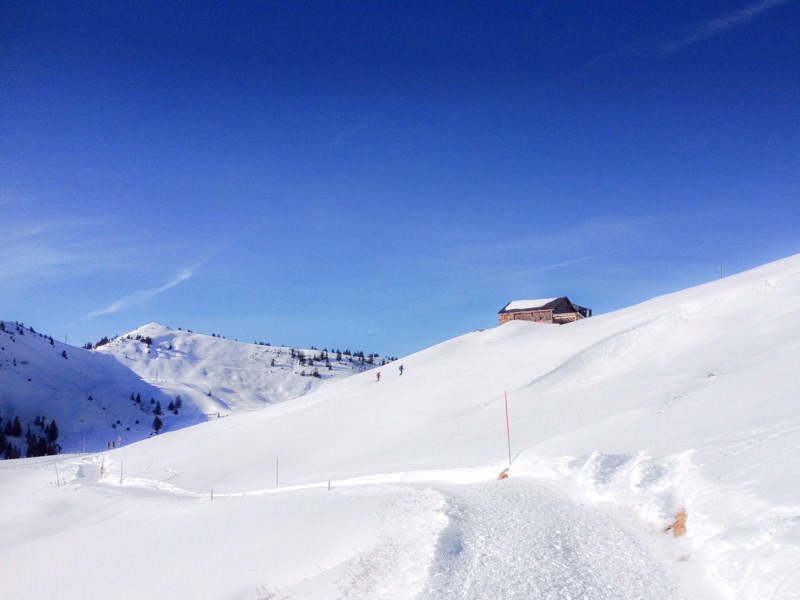 Es hat in der Gegend auch diverse Schneeschuh-Routen. Bild: Claudia Peter