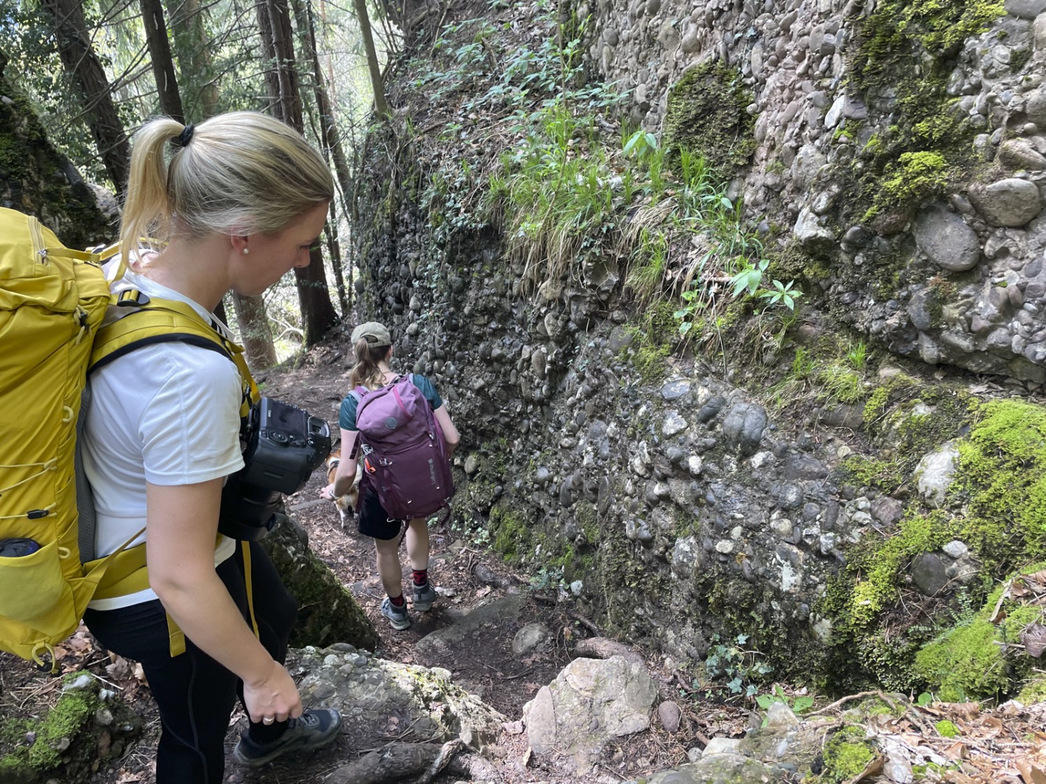 Parois de nagelfluh et passages délicats dans la forêt, le Lützelauerwald.Photo: Rémy Kappeler