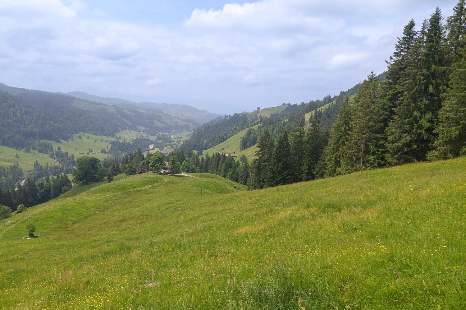 Mentre si sale, si apre una bella veduta sui prati, le colline e i boschi circostanti. Foto: Tatjana Häuselmann