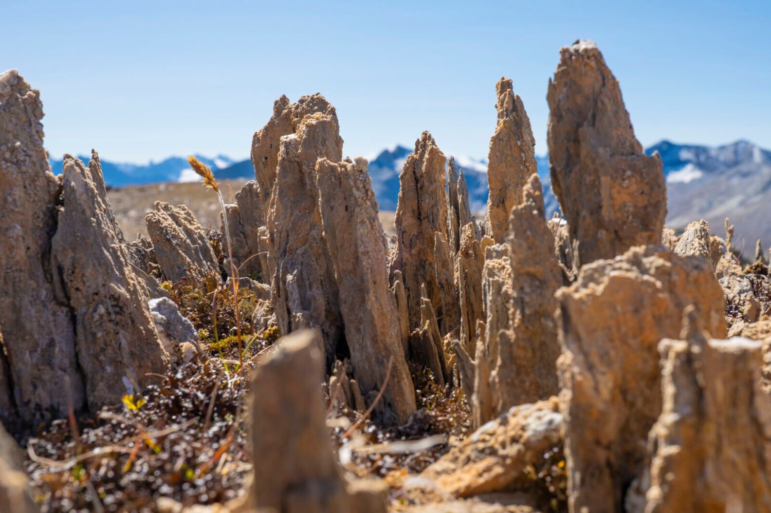 Steinreiche Wanderung über die Fallerfurgga