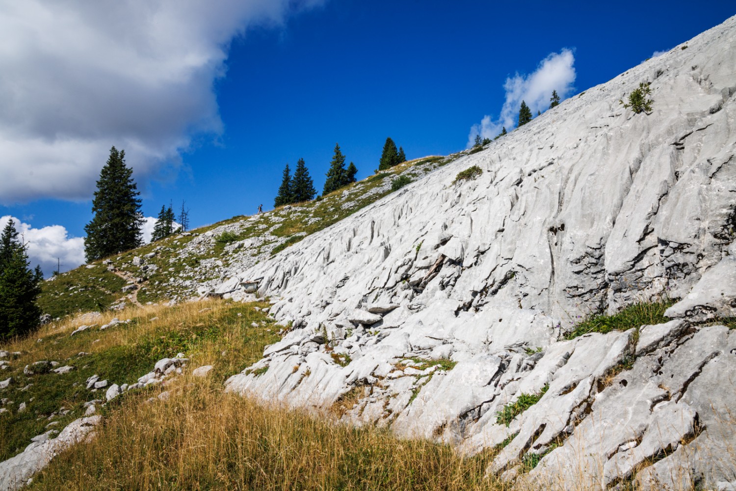 Hier soll der Teufel die Alpwiese von den Felsen gerissen haben. Bild: Severin Nowacki
