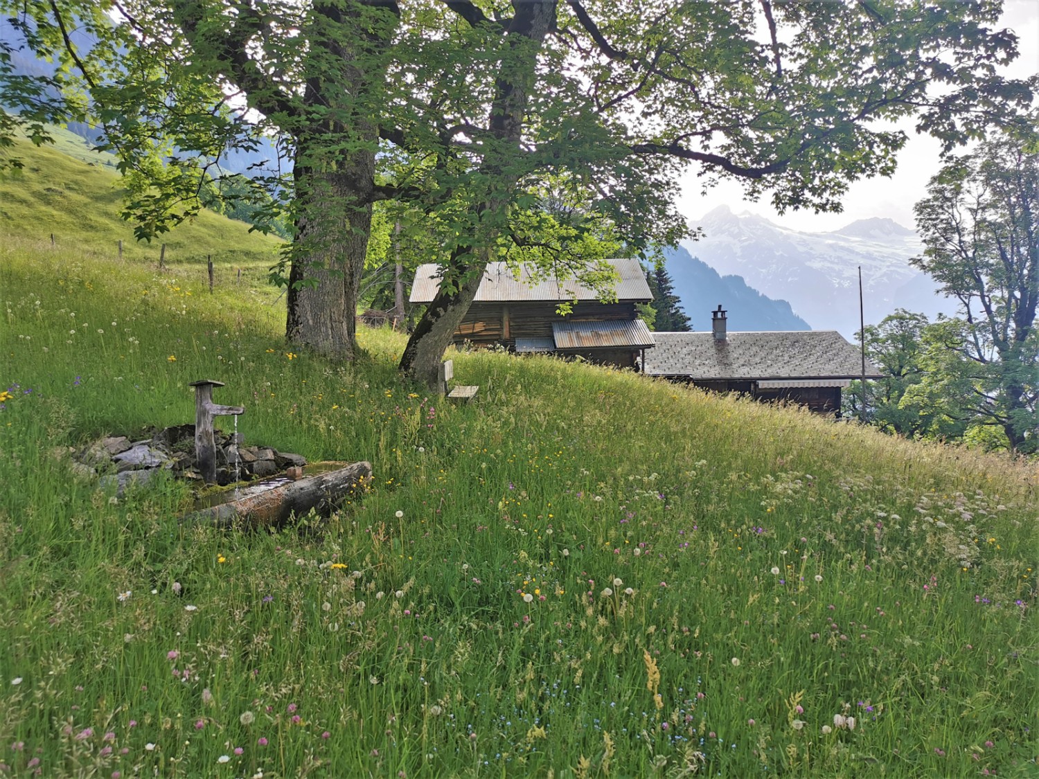 Zwischenstation am Rastplatz mit Brunnen und Bänkli auf Sengg. Bild: Andreas Staeger