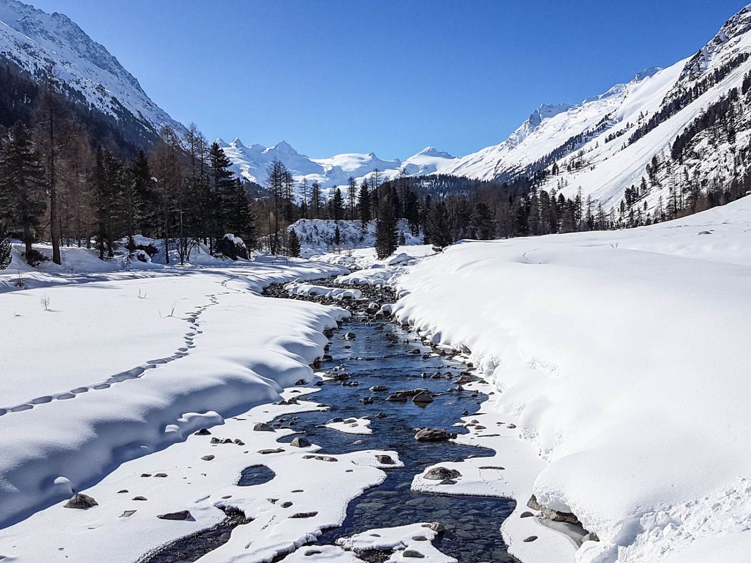 Die pure Winterfreude. Bild: Laura Riedi