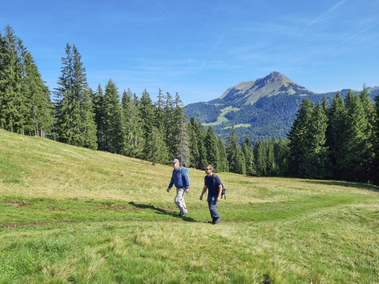 Über Alpweiden geht es dem Gipfel der Corbetta entgegen. Bilder: Nathalie Stöckli