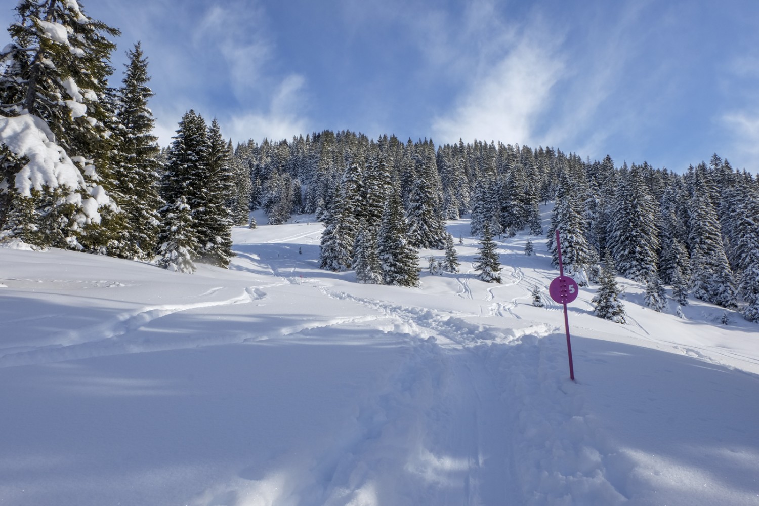 Frisch verschneite Landschaft, aber mit einer schönen Spur. So macht Schneeschuhwandern Spass. Bild: Elsbeth Flüeler