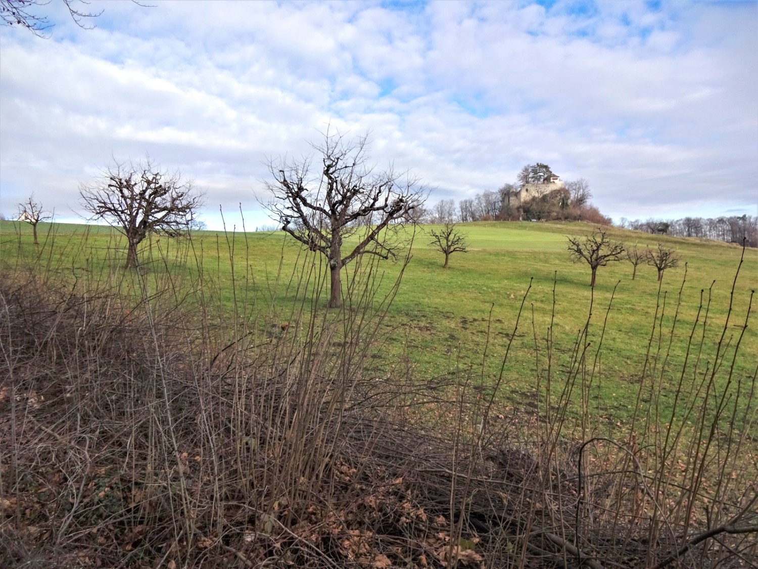 Die Ruinen des ehemaligen Schlosses Neu Schauenburg thronen auf dem Hügel. Bild: Miroslaw Halaba