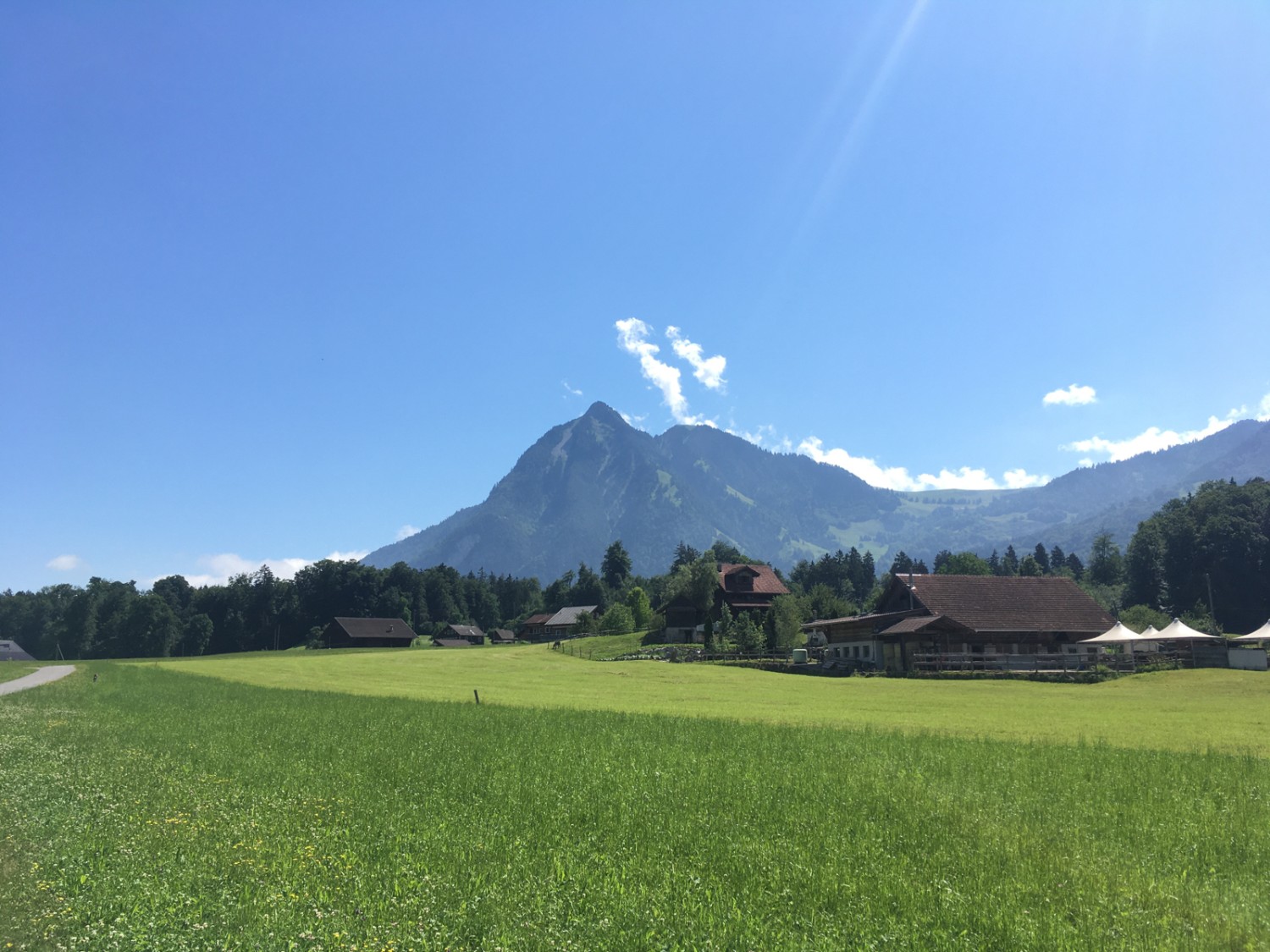 Zu Beginn und am Schluss wandert man auf Asphalt. Dafür entschädigt der Blick zum Stanserhorn. Bild: Jürg Steiner