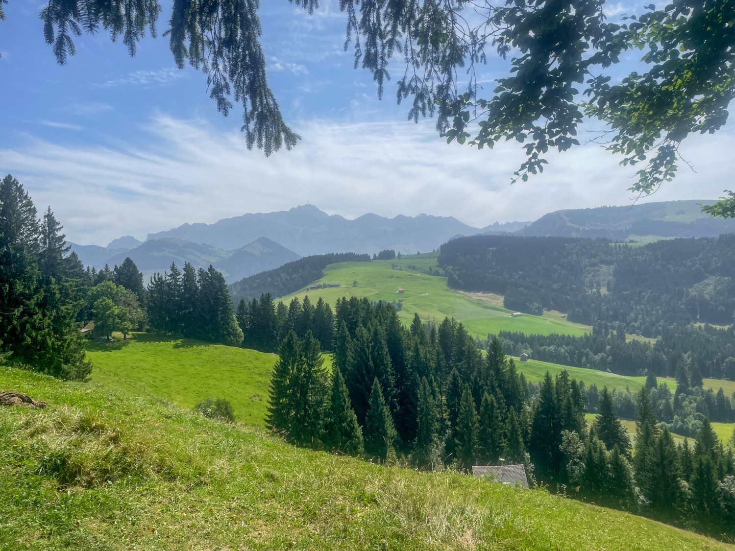 Säntis, Säntis, Säntis – visibile anche durante la discesa.