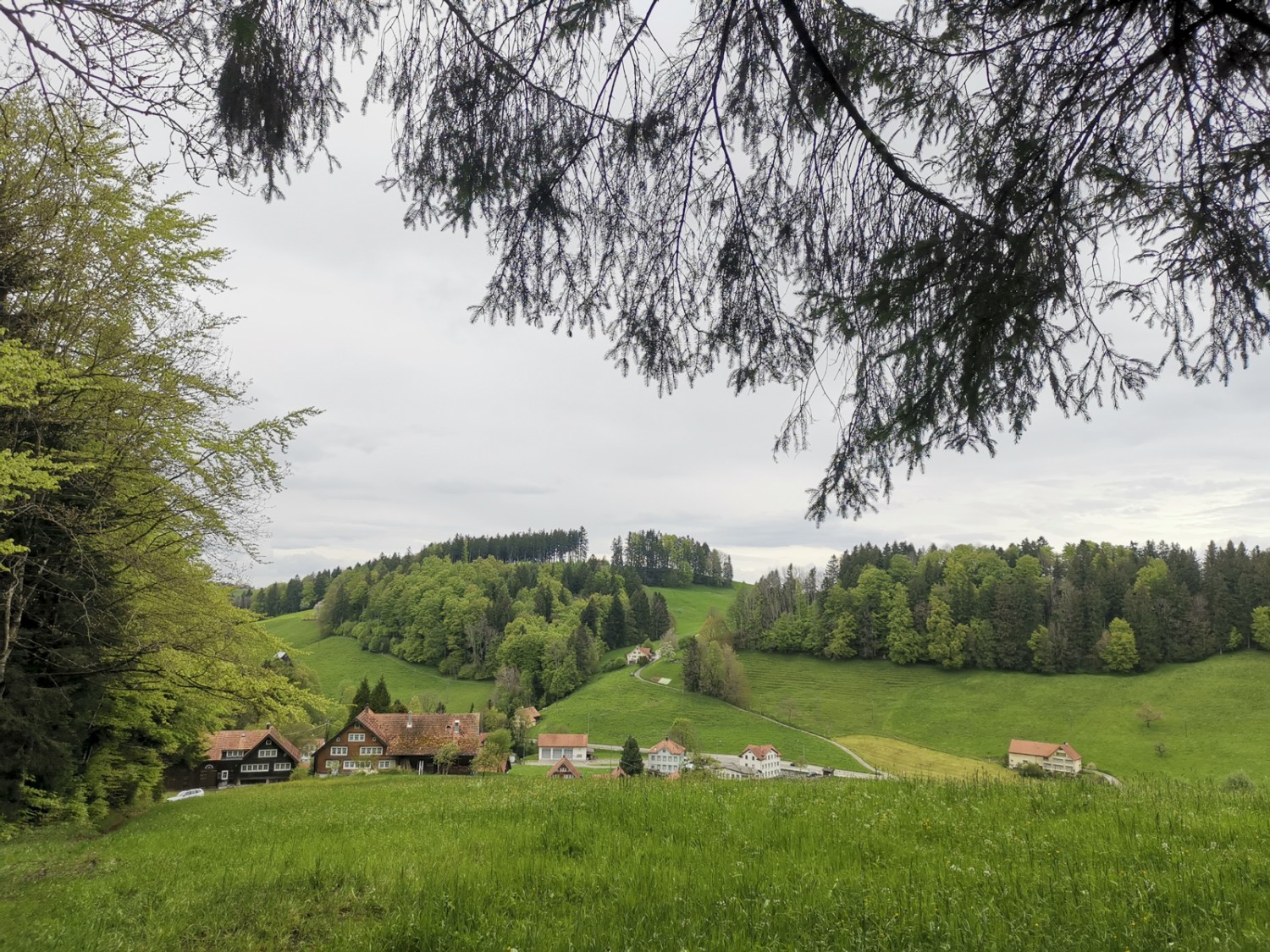 Riemen: en descendant sur l’ancienne Reichsstrasse, on atteint la frontière entre les cantons de Saint-Gall et d’Appenzell Rhodes-Extérieures. Photo: Evelyne Zaugg